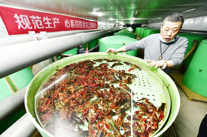　　一个暂养桶内可容纳七层、三百斤小龙虾。记者 唐建/摄