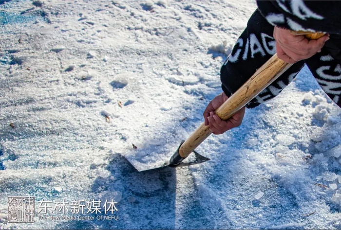 傍晚时分雪花簇簇纷扬