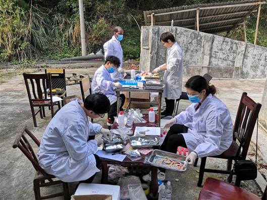 科研团队在开展相关实验。受访者 供图