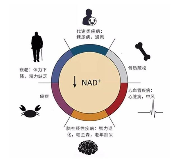 ▲&nbsp;图片来源：网络