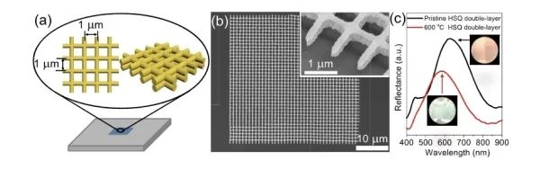 图3.飞秒激光直写的具有耐热性和仿生结构色的HSQ双层阵列结构