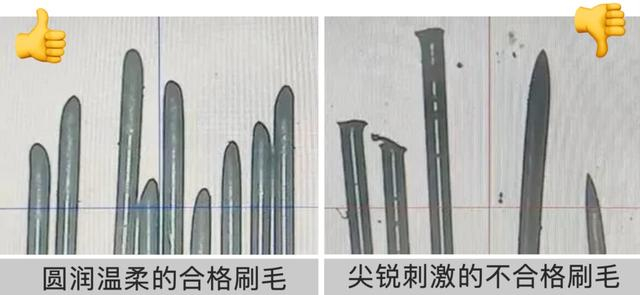 显微镜下的单丝顶端l 图源中国技术性贸易措施网