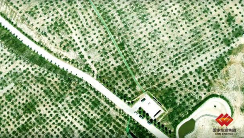 图为绿化后的梅花井矿排矸场鸟瞰图