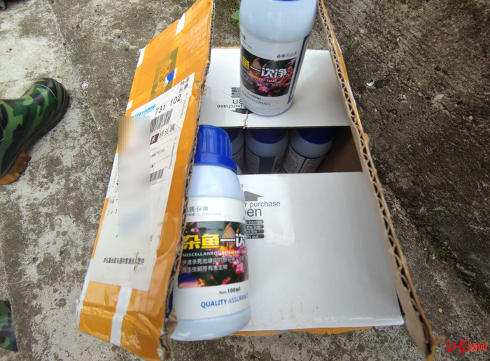 ▲熊先生父亲收到的“杂鱼一次净” 袁伟 摄影