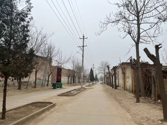 北孟村村中间的水泥路（李晓洁 摄）