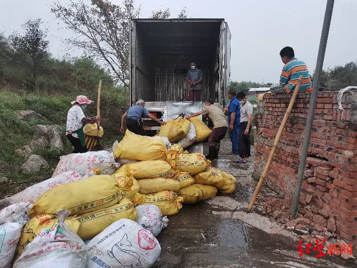 ▲对死鱼进行无害化收集处理 受访者供图