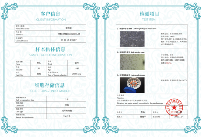细胞保存证书范例