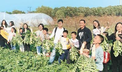 游客在台湾青年郭典易的亲子农场参加体验活动。 （受访者供图）