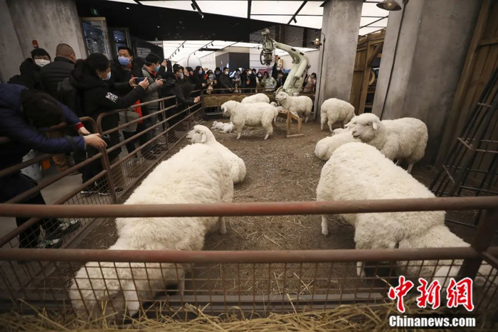 北京一商场展出人工智能机械仿生羊。中新社记者 赵隽 摄