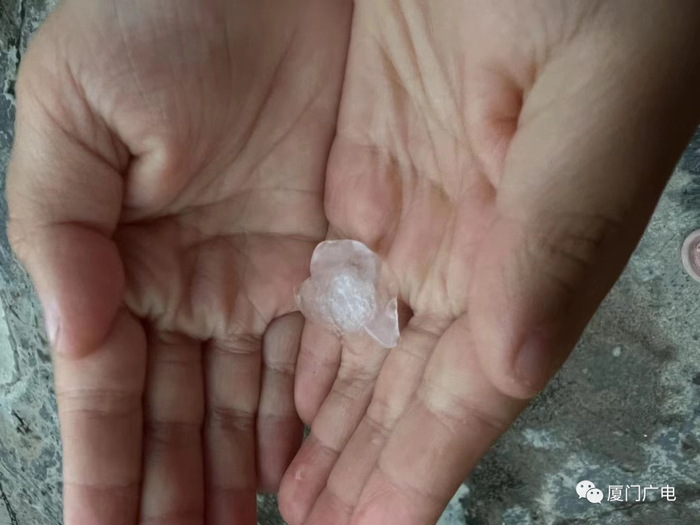 图源：厦门广电