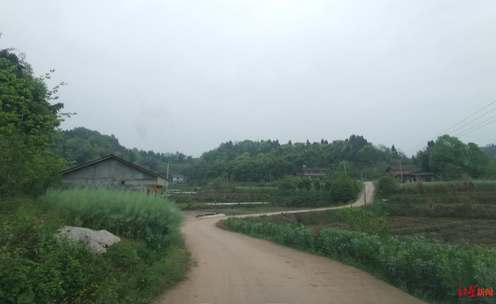 ▲原谷丰村道路