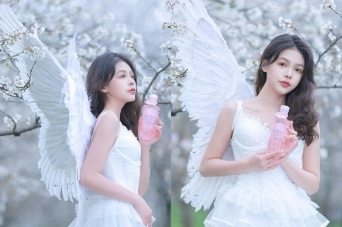 　　蔻斯汀樱花节现场打卡美图,尽显真鲜花之美
