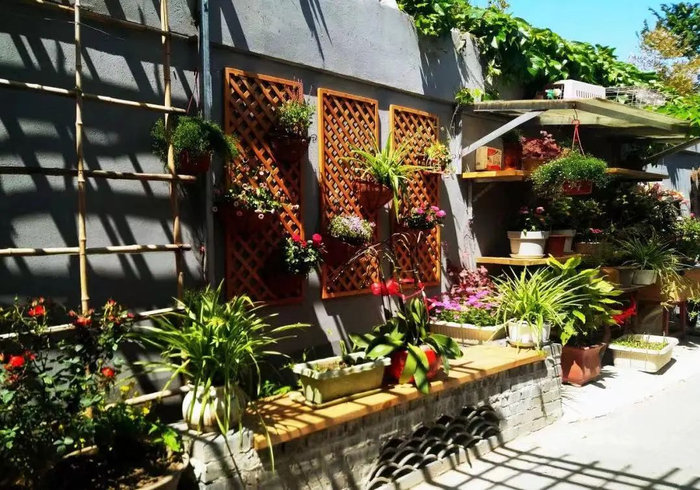 史家胡同微花园改造 © 史家胡同博物馆