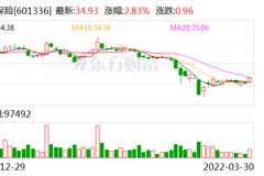 总投资收益率5.9% 代理人缩减21万 新华保险管理层详解2021成绩单