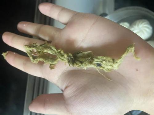 牛女士向凤凰网《风暴眼》提供的图片