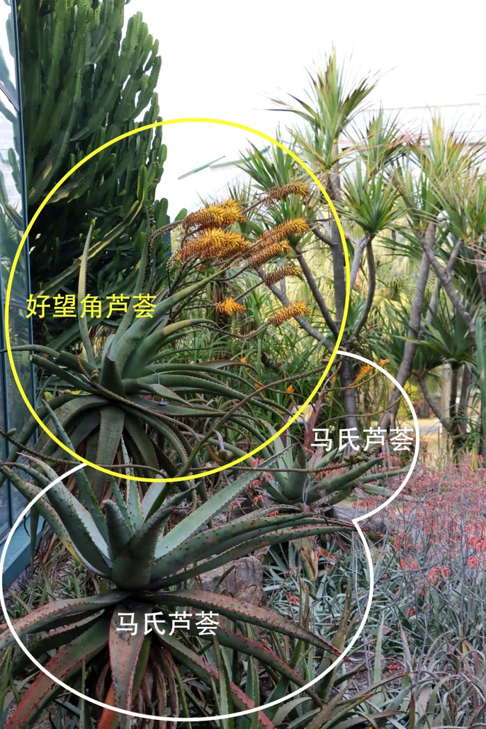 图9 另一个角度