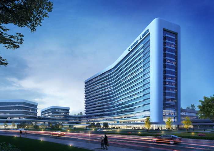 ▲丽水市第一人民医院效果图