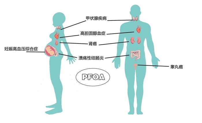 图片来源：《POPs知多少之氟代持久性有机污染物》。