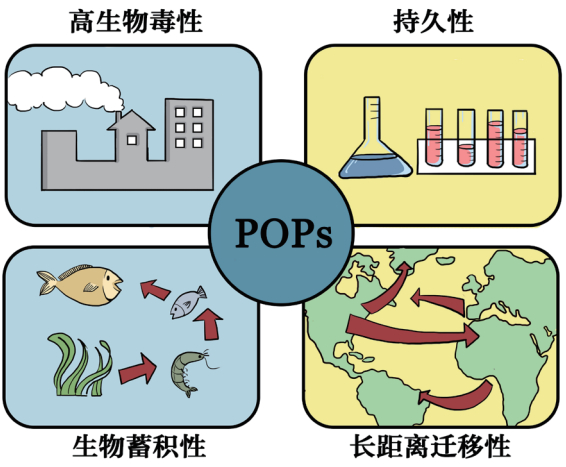 图片来源：《POPs知多少之二噁英》。