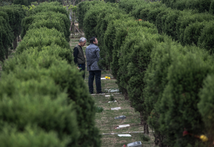 湖北武汉龙泉山孝恩园，人们在树葬的墓穴前悼念故人。新华社记者肖艺九摄