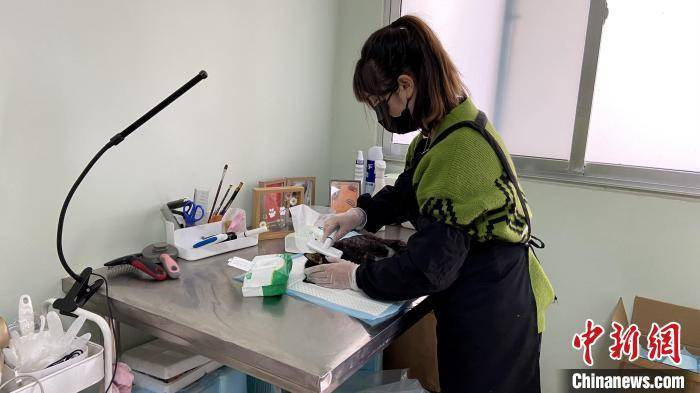 “90后”宠物殡葬师在清理宠物身体。　孙婷婷 摄