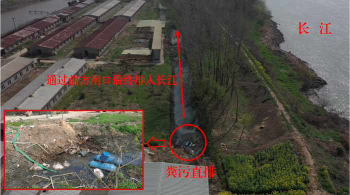 图3  2022年3月26日，督察组现场督察发现，扬中市众康畜牧养殖有限公司将粪污经厂区水沟排入长江