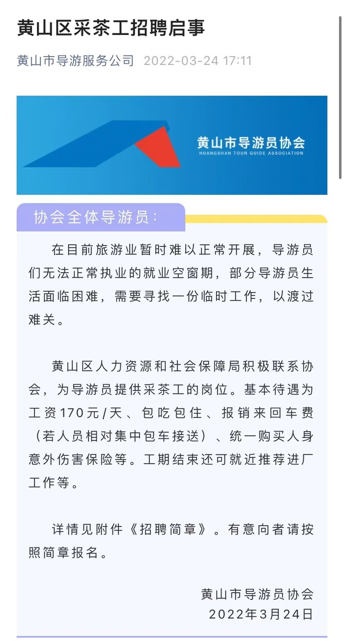 黄山导游员协会发布的采茶工招聘启事 图片来源：黄山市导游员协会官方微信