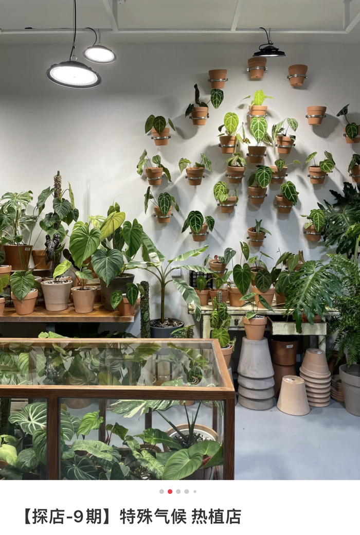 小红书上探店博主拍摄的特殊气候