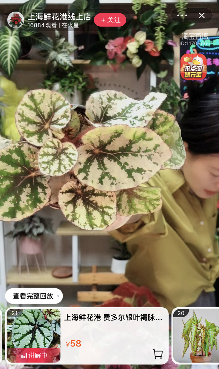 淘宝平台上的热植直播间