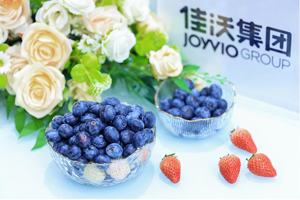 　　蓝莓在颜值、功效、营养价值方面都得到了消费者的认同