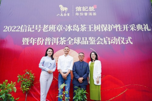 　　△ “2022信记号老班章·冰岛茶王树保护性开采典礼暨年份普洱茶全球品鉴会启动仪式”在云南顺利举行