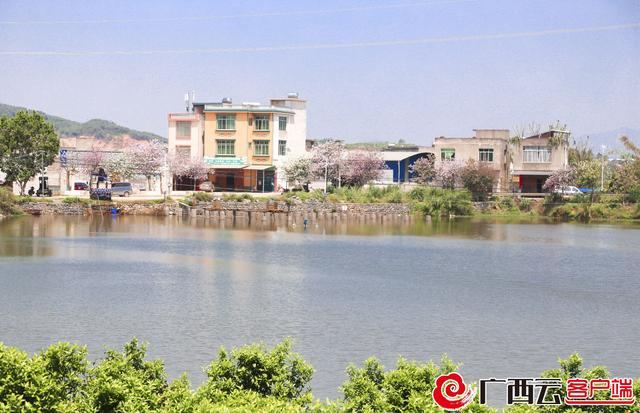  祖强种植家庭农场的水产养殖基地。吴永才 摄