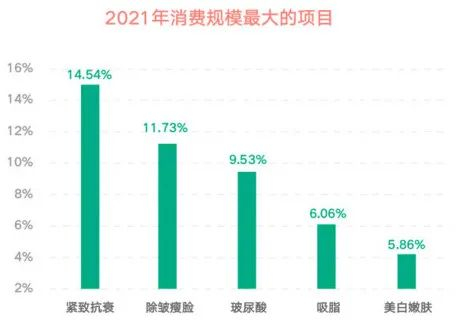 2021年消费规模最大的项目（数据来源：新氧数据颜究院）