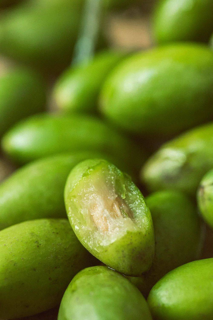 青橄榄，南方人的神秘之果。摄影 / 朱梦菲