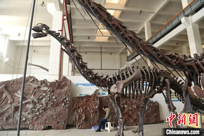 重庆市地质遗迹保护与研究实验室化石修复中心。中新社记者 陈超 摄