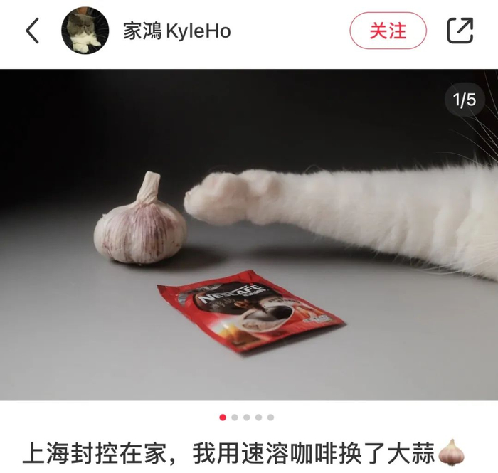 小红书博主用速溶咖啡换大蒜