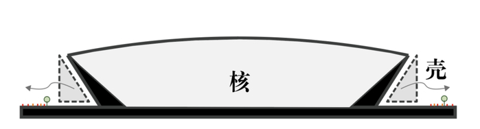 空间壳示意图，来源：作者自绘