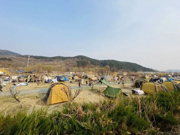日光山谷拥挤的帐篷和稀疏的草坪 受访者供图 