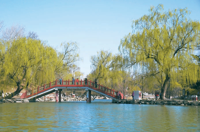 圆明园春色 王海欣 摄