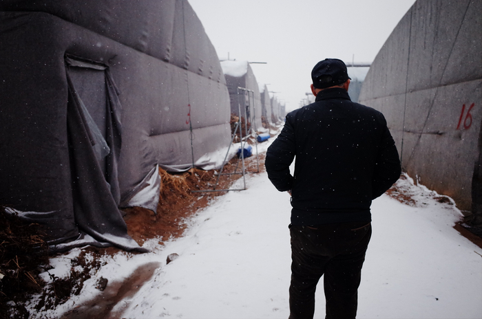 老徐在蓝莓园 &nbsp;时代周报记者 黎广摄