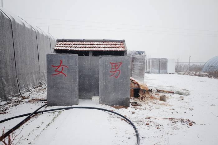 老徐蓝莓园的旱厕和小狗 &nbsp;时代周报记者 黎广摄