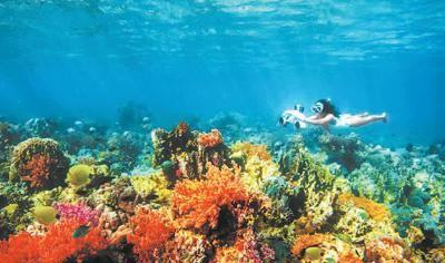 消费者使用深之蓝水下助推器潜水。品牌方供图