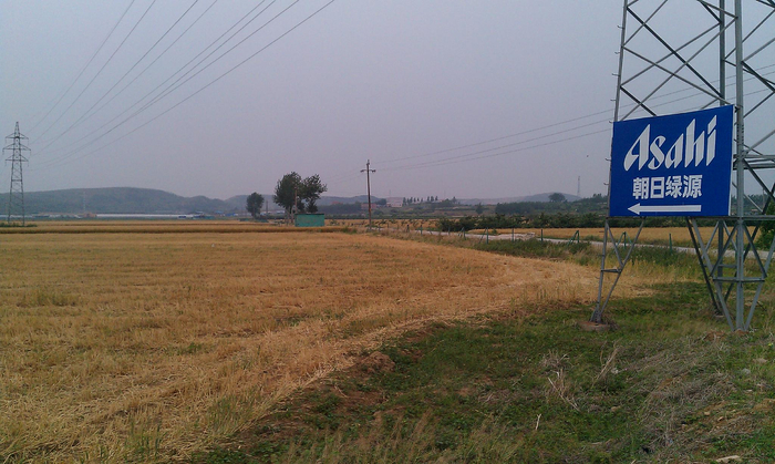 朝日农场（2011年） &nbsp;时代周报记者 黎广摄