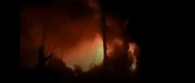 图片来源：央视新闻报道截图