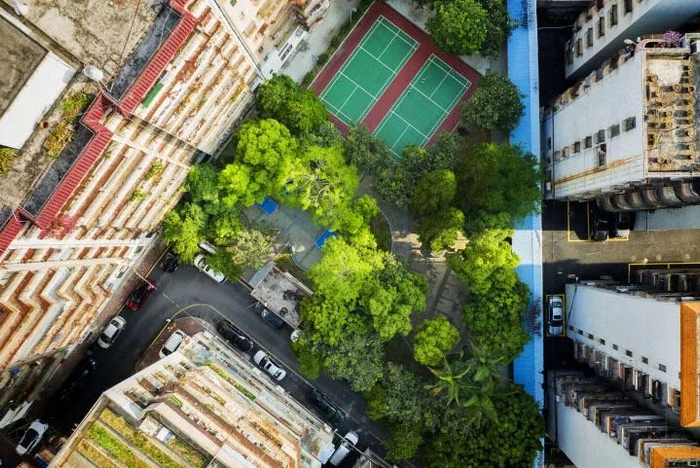 清城区江湾公园。清远日报记者 江元威 摄