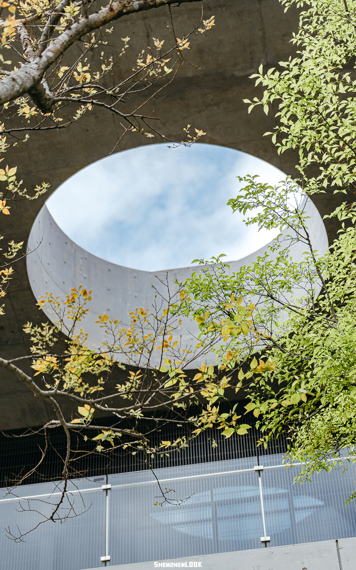 华夏建筑，凝练东方美学