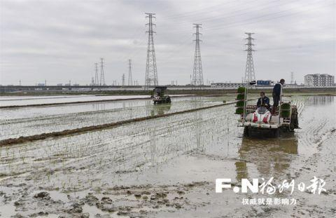 春耕时节，插秧机在田间地头作业。记者 叶义斌摄