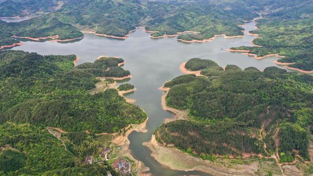  福建武夷山东溪水库春色。（邱汝泉 摄）