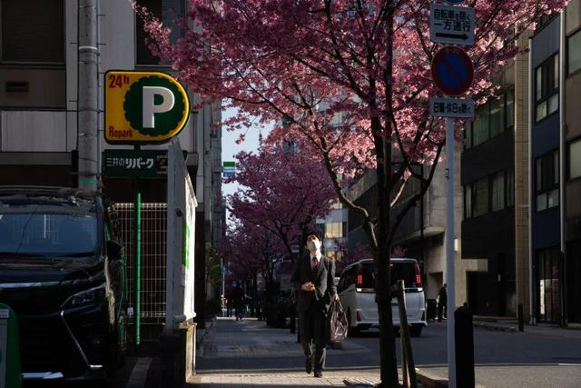 当地时间2022年3月14日，日本东京街头。 图/IC photo