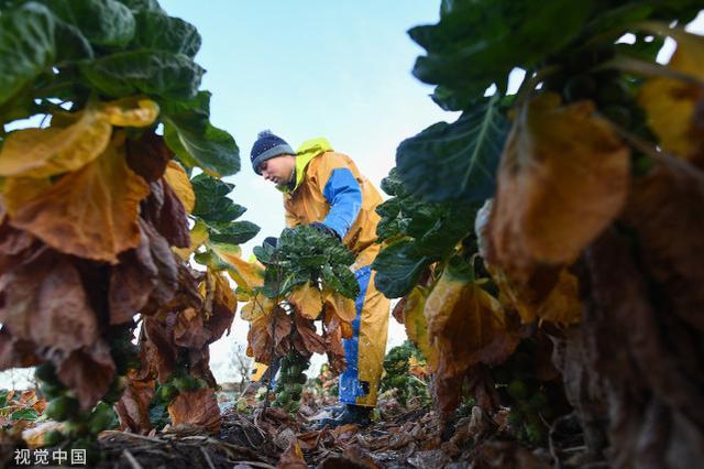 资料图 图源：视觉中国